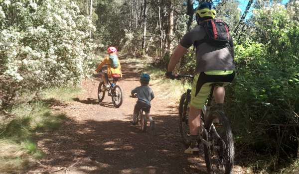 North East Rail Trail