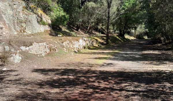 North East Rail Trail