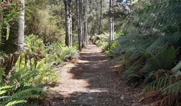 North East Rail Trail