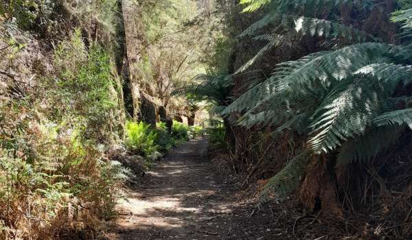 North East Rail Trail