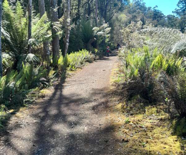 North East Rail Trail