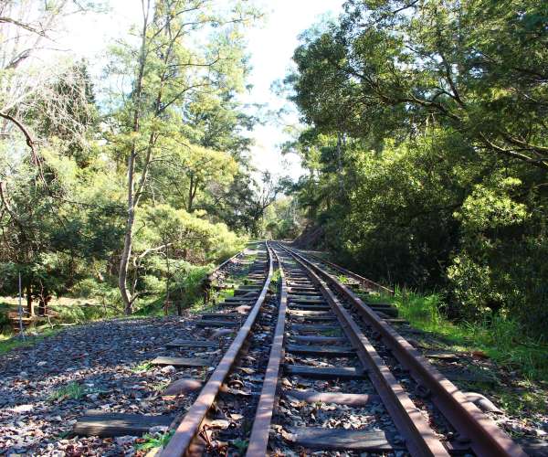 North East Rail Trail - Corridor Picture