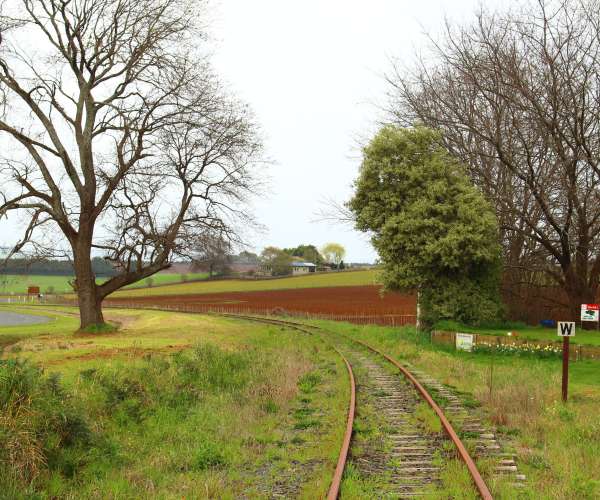 North East Rail Trail - Corridor