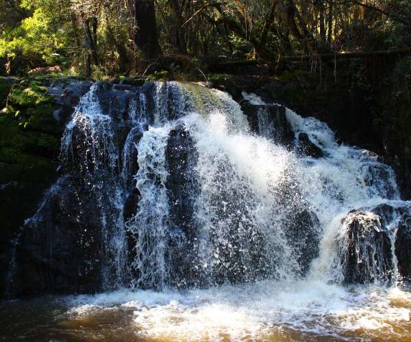 IMG 4667 Lilydale Falls