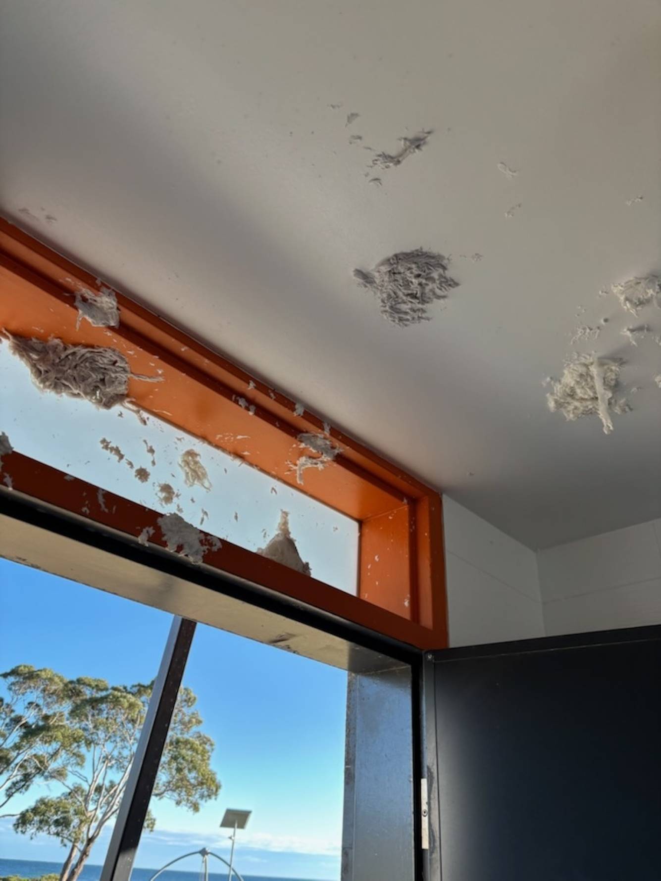 Vandalism in Bridport Public Toilets Hurting Our Community