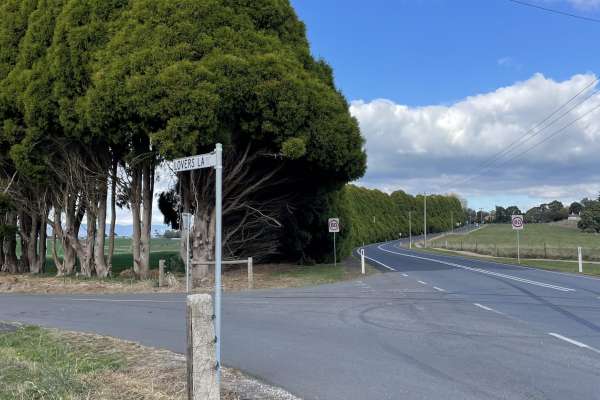 Ringarooma Memorial Trees