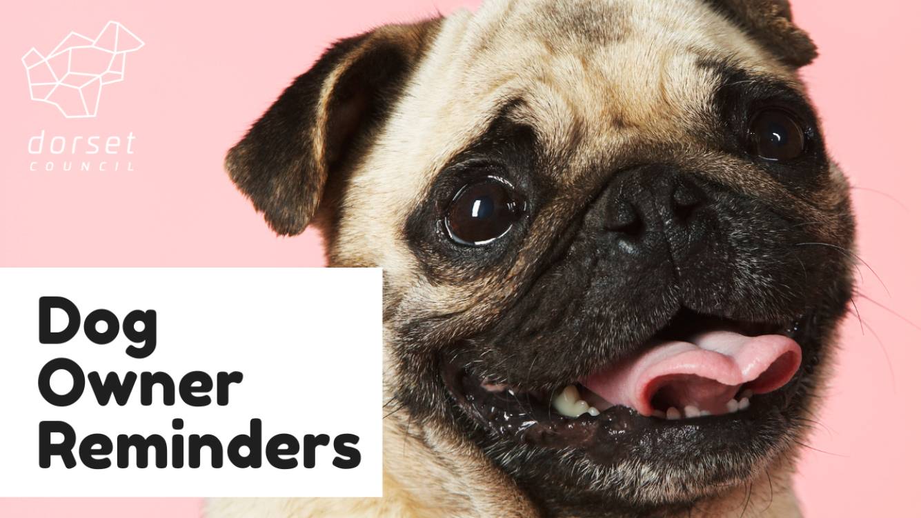 Dog Owner Reminders