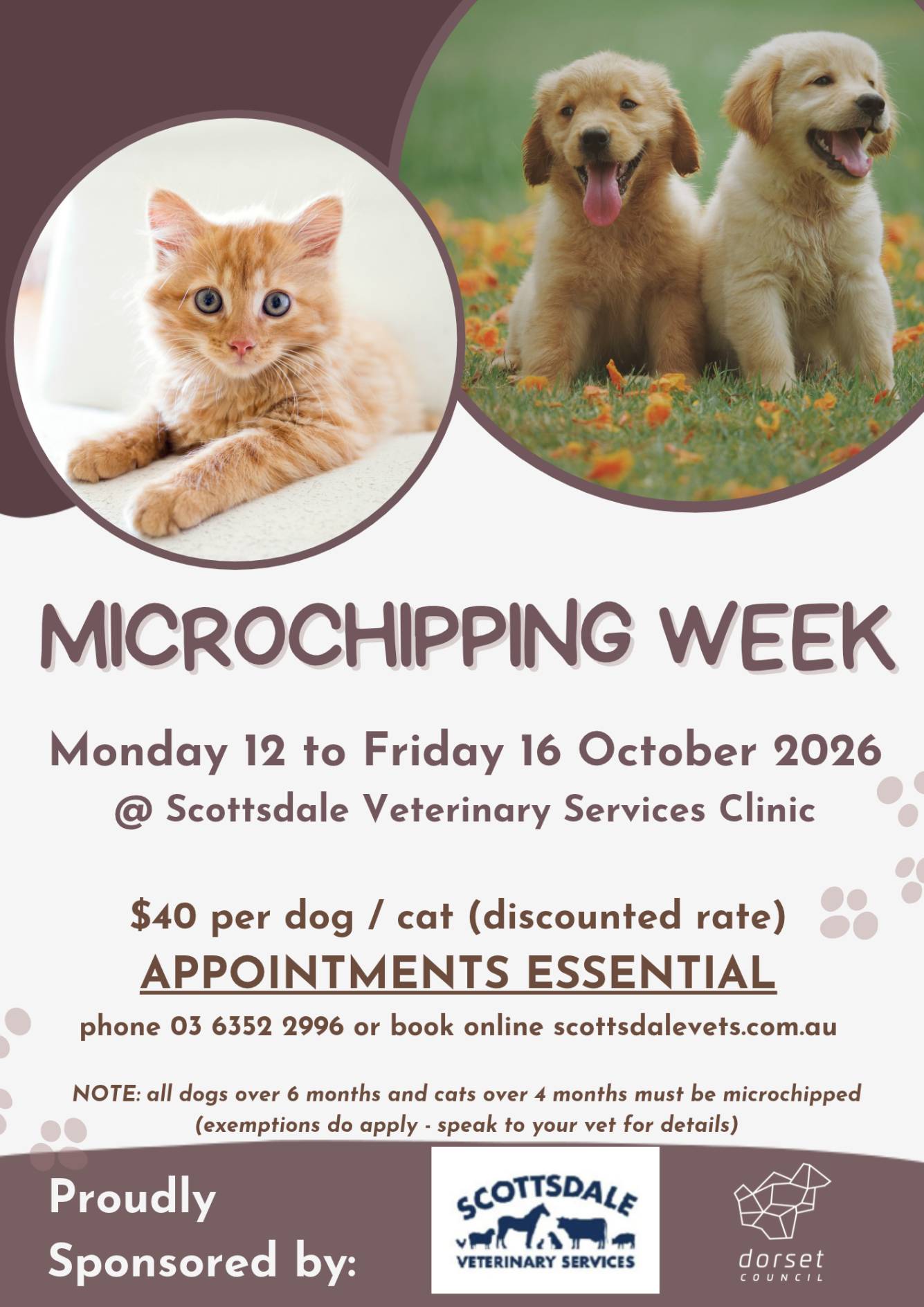 Microchipping Week | 12 - 16 October 2026