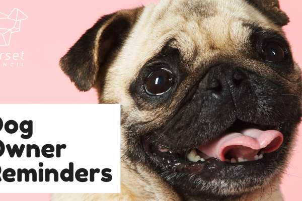 Dog Owner Reminders