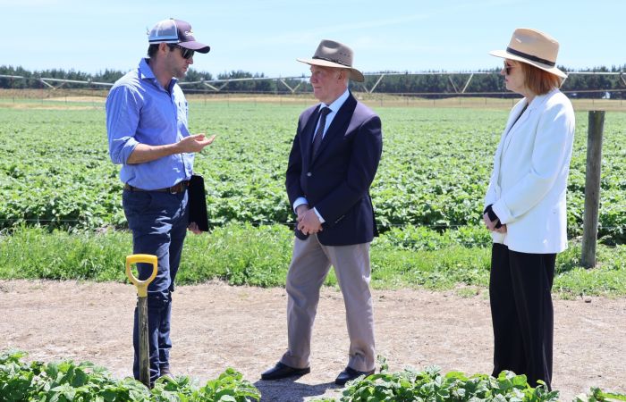 Spud 3 NE Advertiser