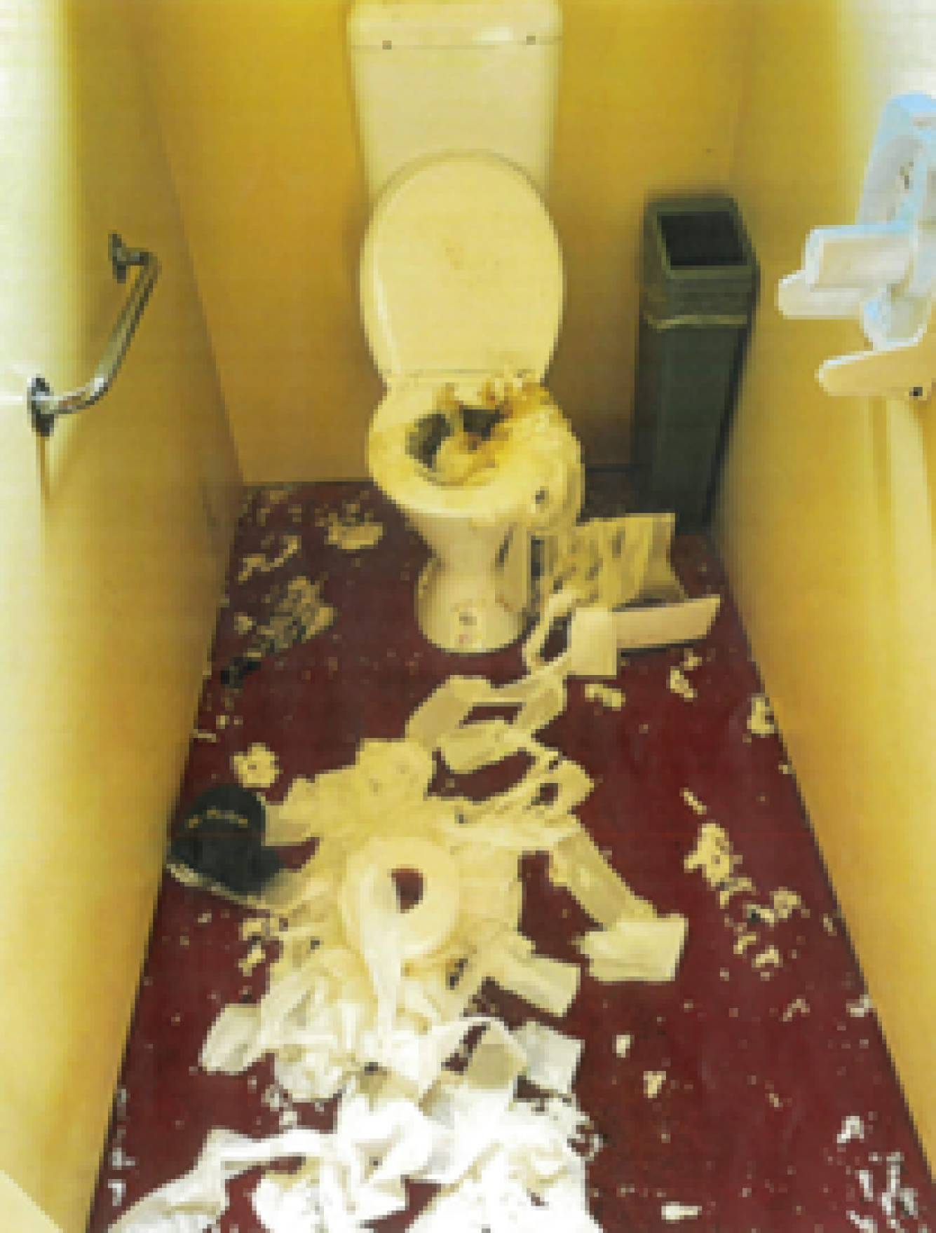 Mayor Addresses Recent Vandalism in Public Facilities – Community Support Requested