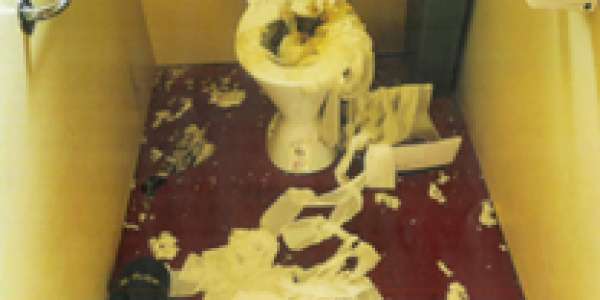 Mayor Addresses Recent Vandalism in Public Facilities – Community Support Requested