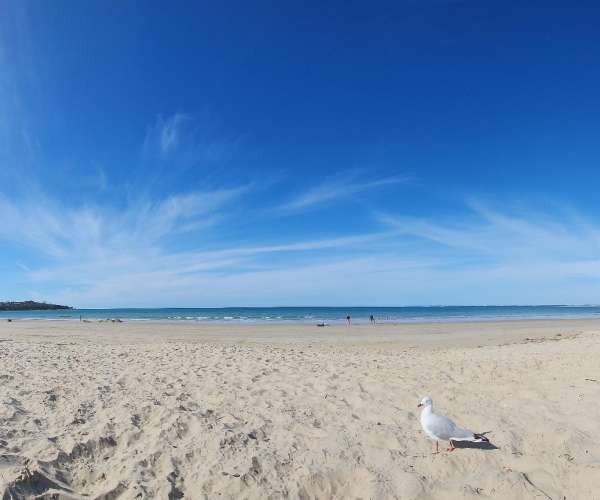 Goftons Beach
