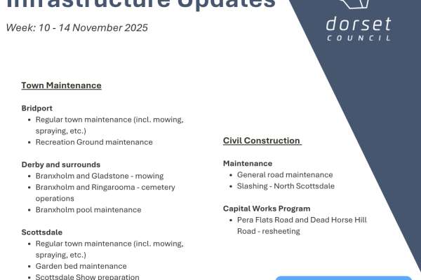 Infrastructure Updates 10 to 14 Nov 2025